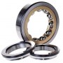 560ebe84-12c9-11df-b760-000fea158260